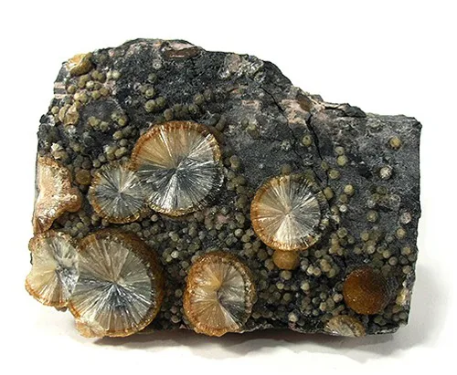 Radial Wavellite Sprays