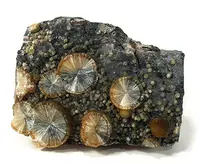 Radial Wavellite Sprays