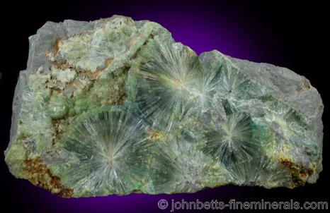 Interconnected Radial Wavellite