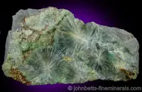 Interconnected Radial Wavellite