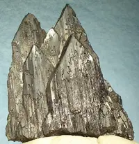 Pointed Wolframite Cluster