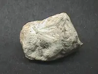 Radiating Wollastonite