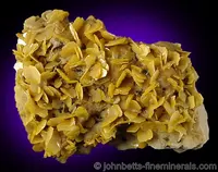Yellowish Wulfenite Flakes