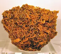 Large Platy Wulfenite