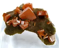 Stubby Wulfenite Crystals