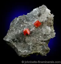 Small Wulfenite on Matrix