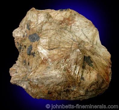 Tan-colored Radiating Zoisite