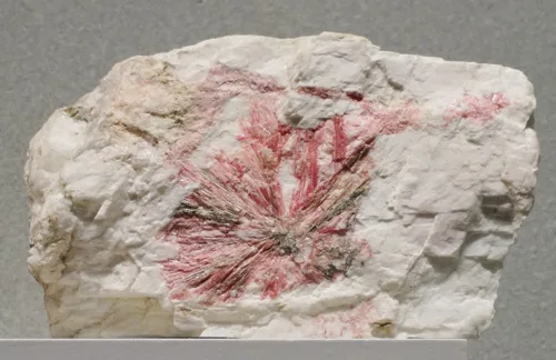 Radiating Pink Zoisite